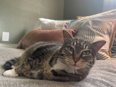 Oliver
